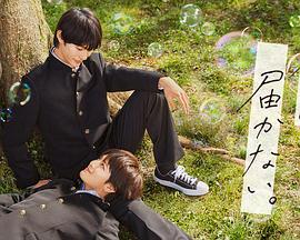 火豆电影网观看海报剧照