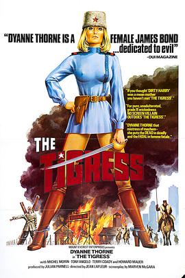 歌手归来海报剧照